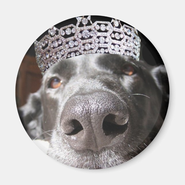 Imán Diva Magnet (Frente)