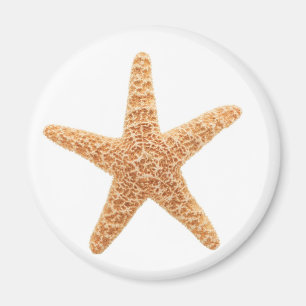 Imán diversión de las estrellas de mar