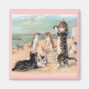 Imán Diversión del gato en el centro de la playa
