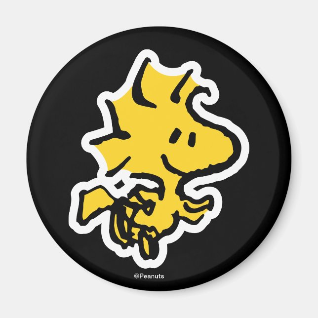 Imán Diversión y flores de Snoopy & Woodstock (Frente)