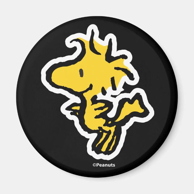 Imán Diversión y flores de Snoopy & Woodstock (Frente)