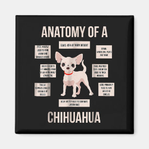 Imán Divertida Anatomía De Regalo De Cachorro De Un Chi