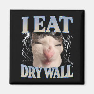 Imán Divertido Como Gato Tonto Que Como Pared Seca Meme