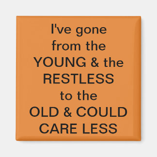 Imán divertido de Frig