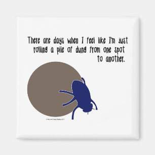 Imán divertido del insecto