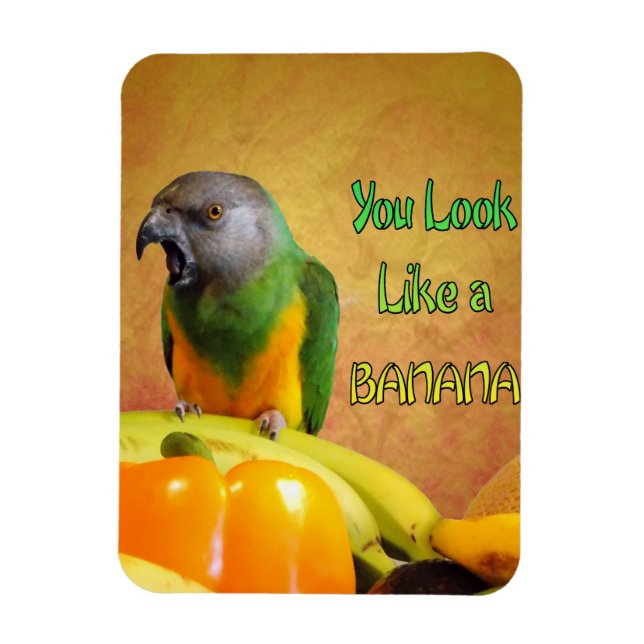 Imán Divertido Senegal Parrot Banana (Vertical)
