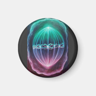 Imán División celular