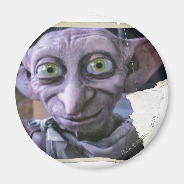 Imán Dobby 1 (Frente)