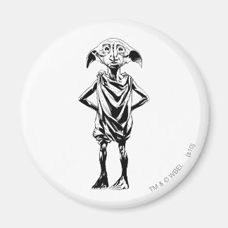 Imán Dobby 2
