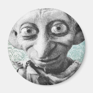 Imán Dobby 4