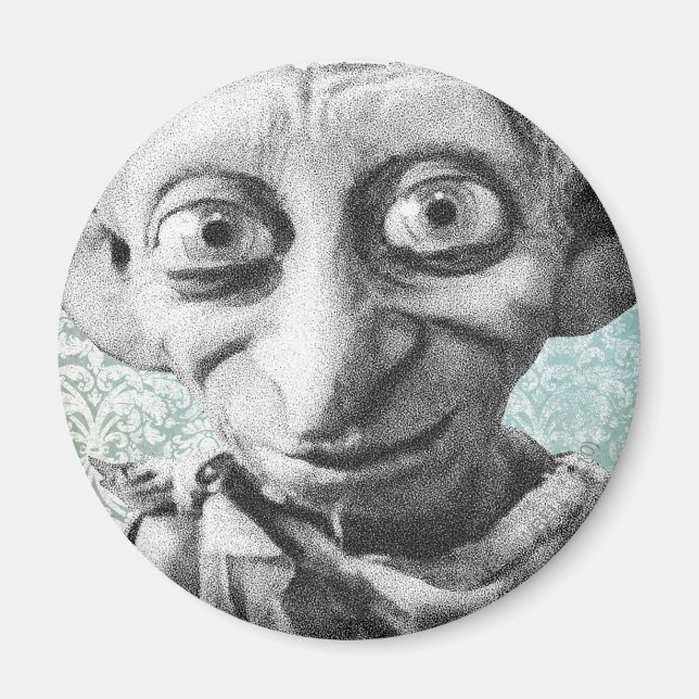 Imán Dobby 4 (Frente)