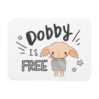 Imán Dobby Es Libre