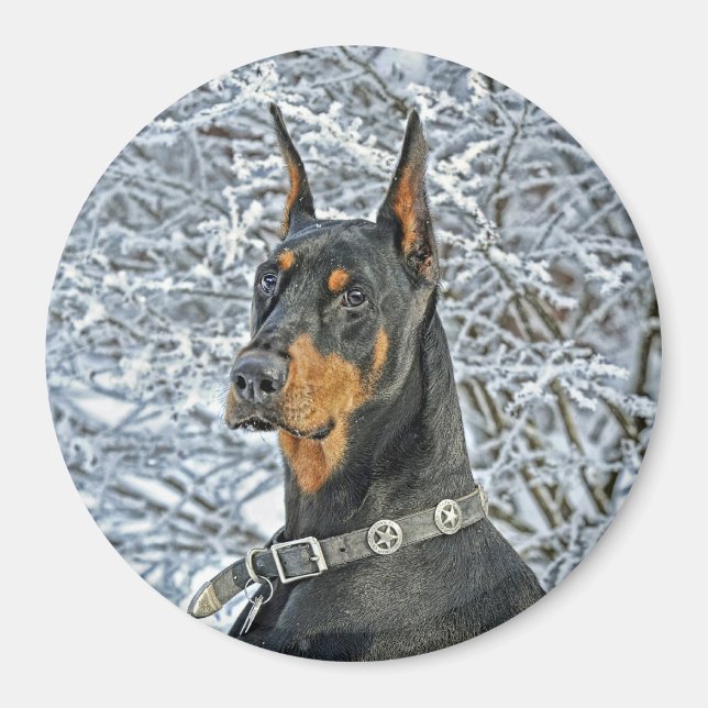 Imán Doberman Fosty Day (Frente)