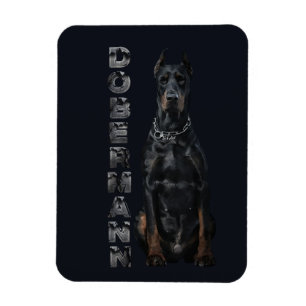 Imán Doberman Pinscher