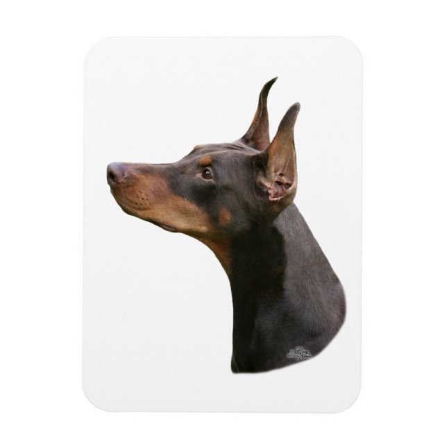 Imán Doberman Pinscher - cabeza roja/marrón Magnet (Vertical)