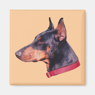 Imán Doberman Pinscher Dog