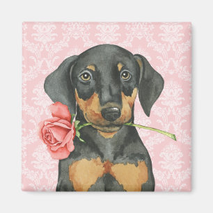 Imán Doberman subió tarjeta del día de San Valentín
