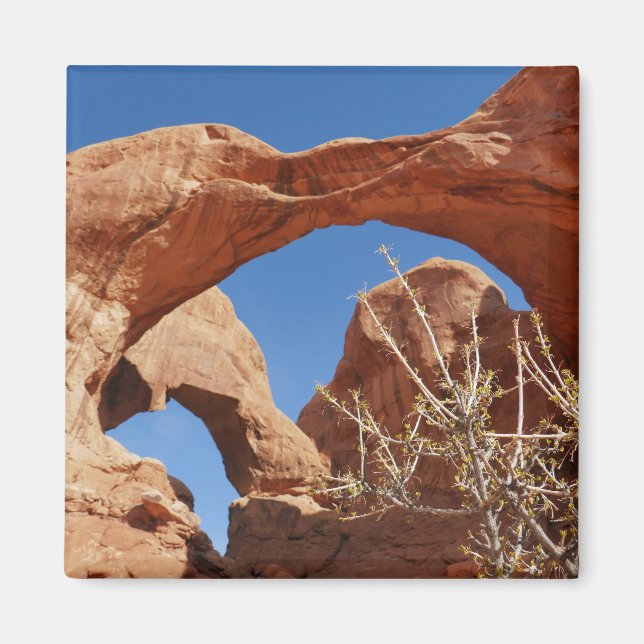 Imán Doble Arco en el Parque Nacional Arches (Frente)