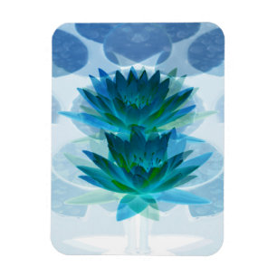 Imán Doble su placer...