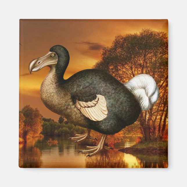 Imán Dodo Magnet (Frente)