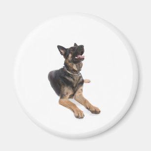 Imán dog - german shepherd