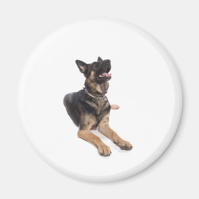 Imán dog - german shepherd (Frente)