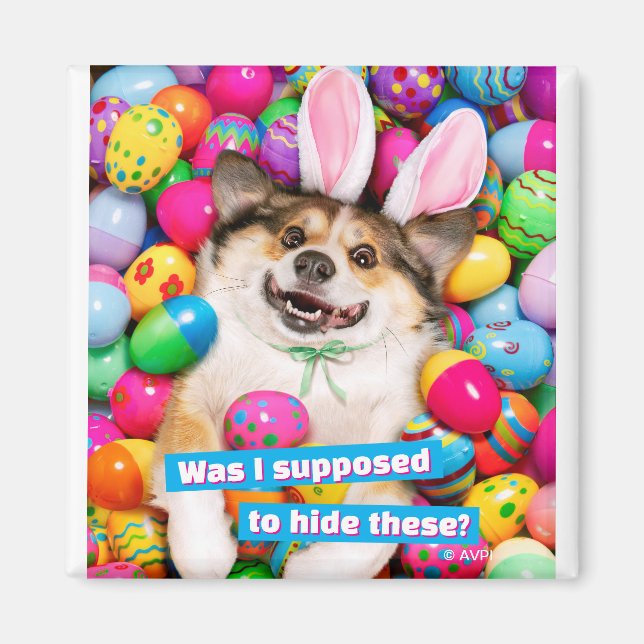 Imán Dog Laying on Easter Eggs (Frente)