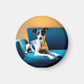 Imán Dog sitting on a chair