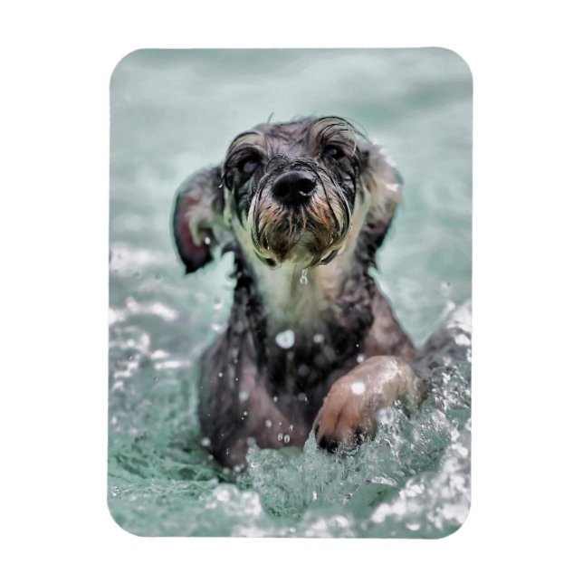 Imán Doggy Paddle Cute Perro Natación (Vertical)