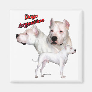 Imán Dogo Argentino Trio 2 - Magnet