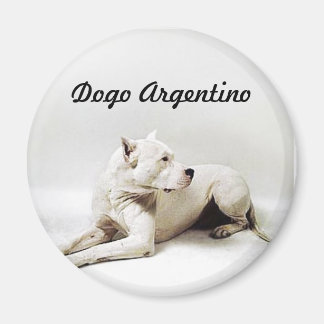 Imán dogo, Dogo Argentino