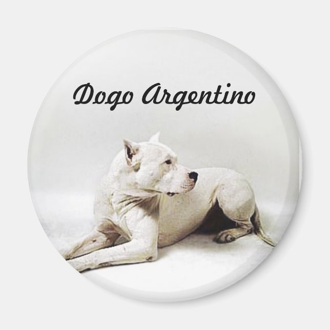 Imán dogo, Dogo Argentino (Frente)