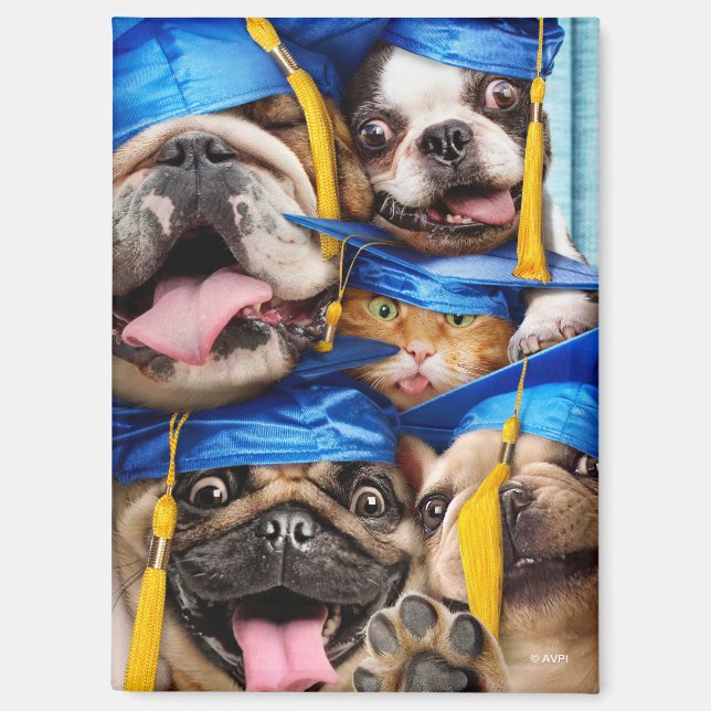 Imán Dogs and Cat Grads in Photo Booth (Anverso)