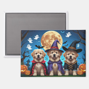 Imán Dogs de Terranova Calabaza Halloween Funny