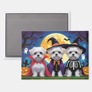 Imán Dogs malteses Calabaza Halloween Divertido