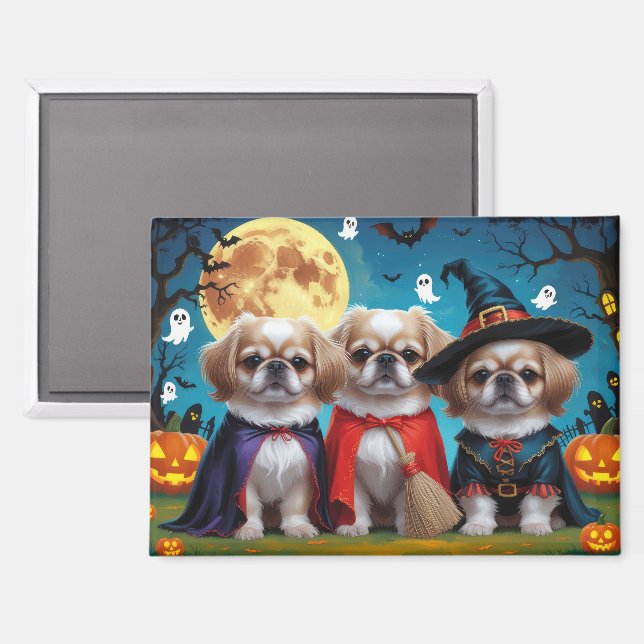 Imán Dogs pekingeses Calabaza Halloween Graciosa (Anverso/Reverso)