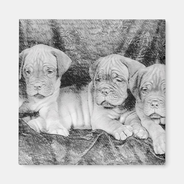 Imán Dogue de Bordeaux (Frente)