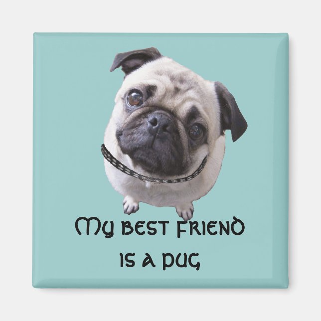 Imán “doguillo " (Frente)