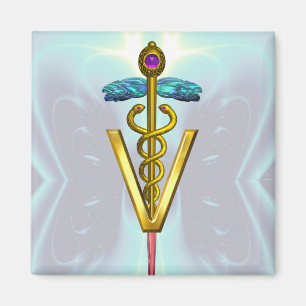 Imán DOLDEN CADUCEUS VETERINARIO SÍMBOLO Verde azulado