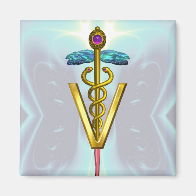 Imán DOLDEN CADUCEUS VETERINARIO SÍMBOLO Verde azulado  (Frente)
