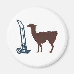 Imán Dolly llama
