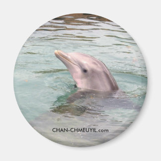Imán Dolphin Magnet