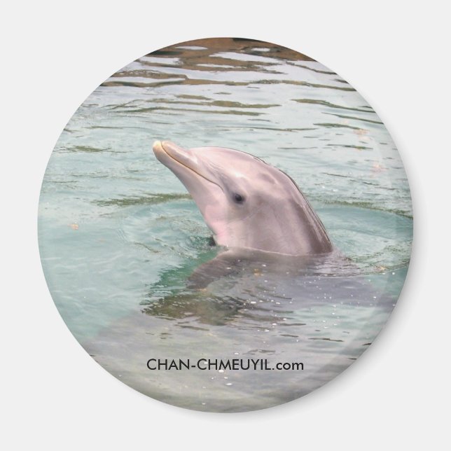 Imán Dolphin Magnet (Frente)
