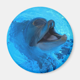 Imán Dolphin Magnet