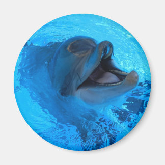 Imán Dolphin Magnet