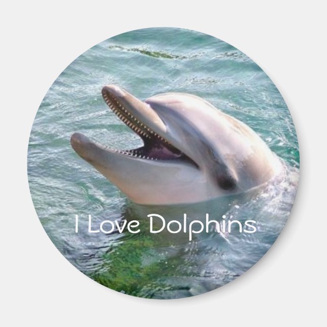 Imán Dolphin Magnet (Frente)