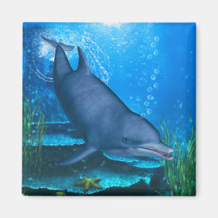 Imán Dolphin Underwater