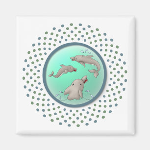 Imán Dolphinday