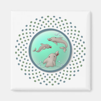 Imán Dolphinday