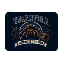 Dominar la Web